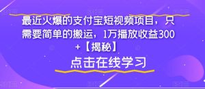 最近火爆的支付宝短视频项目，只需要简单的搬运，1万播放收益300+【揭秘】-云创网