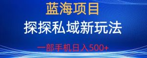 蓝海项目,探探私域新玩法,一部手机日入500+很轻松【揭秘】-云创网