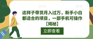 这样子带货月入过万,新手小白都适合的项目,一部手机可操作【揭秘】-云创网