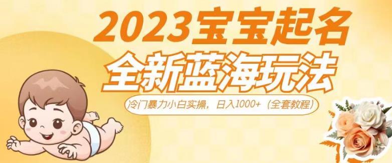 2023宝宝起名全新蓝海玩法，冷门暴力小白实操，日入1000+（全套教程）【揭秘】-云创网