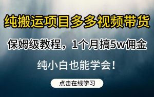 纯搬运项目多多视频带货保姆级教程，1个月搞5w佣金，纯小白也能学会【揭秘】-云创网