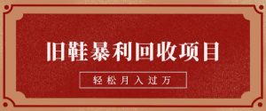 旧鞋暴利回收项目,轻松月入过万,详细教学视频【揭秘】-云创网