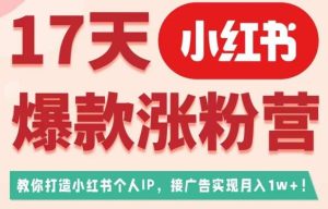 17天小红书爆款涨粉营(广告变现方向),教你打造小红书博主IP、接广告变现的-云创网