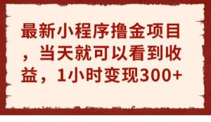 最新小程序撸金项目,当天就可以看到收益,1小时变现300+【揭秘】-云创网