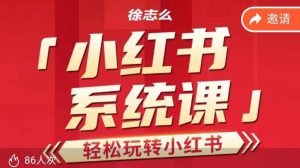徐志么小红书运营课,轻松玩转小红书-云创网