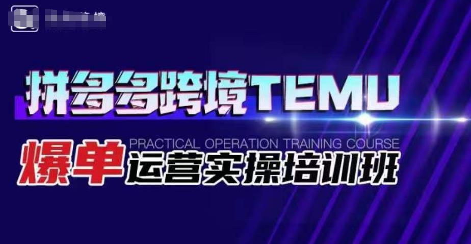 拼多多跨境TEMU爆单运营实操培训班，海外拼多多的选品、运营、爆单-云创网