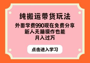 纯搬运带货玩法,外面学费990现在免费分享,新人无脑操作也能月入过万【揭秘】-云创网