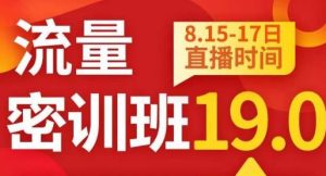 秋秋线上流量密训班19.0,打通流量关卡,线上也能实战流量破局-云创网