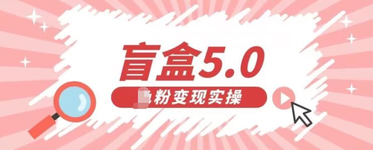 盲盒交友5.0，男粉变现实操项目，亲测变现效果极好【揭秘】-云创网