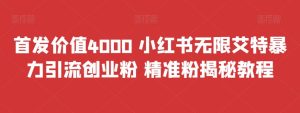 首发价值4000 小红书无限艾特暴力引流创业粉 精准粉揭秘教程-云创网