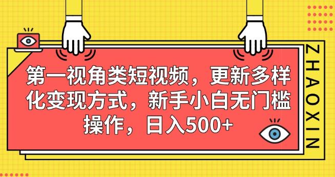 第一视角类短视频，更新多样化变现方式，新手小白无门槛操作，日入500+【揭秘】-云创网