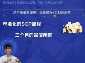 勋哥·短视频变现训练营,解决核心问题,标准化起号流程,以变现为核心-云创网