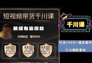 短视频带货-千川专业投放课,精细化专业投放,计划纠正,提升ROI-云创网