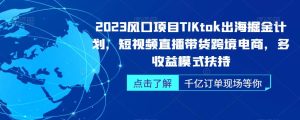 2023风口项目TikTok出海掘金计划,短视频直播带货跨境电商,多收益模式扶持-云创网