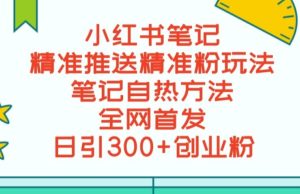 最新小红书笔记精准推送2000+精准粉,单日导流私欲最少300【脚本+教程】-云创网