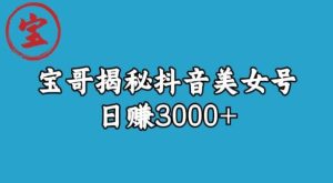 宝哥揭秘抖音美女号玩法,日赚3000+【揭秘】-云创网