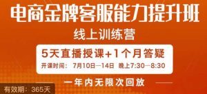 电商金牌客服能力提升班,提升客服能力是你店铺业绩的关键要素-云创网
