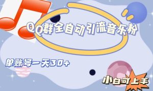 QQ群全自动引流音乐粉,单账号一天轻松引流30+-云创网