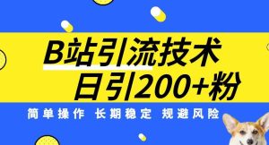 B站引流技术:每天引流200精准粉,简单操作,长期稳定,规避风险-云创网