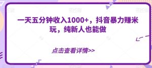 一天五分钟收入1000+,抖音暴力赚米玩,纯新人也能做-云创网