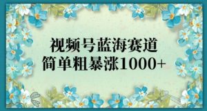 视频号蓝海赛道,简单粗暴涨1000+-云创网