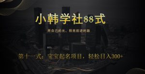小韩学社88式第十一式:《宝宝起名》项目,轻松日入300+-云创网