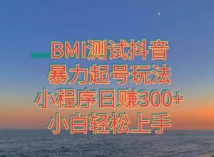 神图抖音小程序项目4.0版引流,日入300+暴力玩法小白轻松上手-云创网