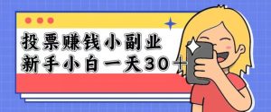 投票赚钱项目,一天保底20-50!适合新手小白操作-云创网