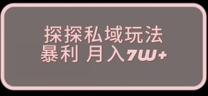 探探最新的私域玩法非常厉害操作简单,聊聊天就能有收入-云创网