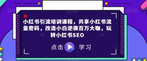 小红书引流培训课程,共享小红书流量密码,改造小白逆袭百万大咖,玩转小红书SEO-云创网