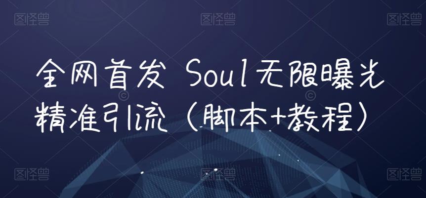 全网首发 Soul无限曝光精准引流（脚本+教程）-云创网