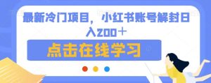 最新冷门项目,小红书账号解封日入200+【揭秘】-云创网