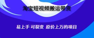 人人可做,通过全自动化软件搬运视频到淘宝卖货,轻松月入过万,可裂变-云创网