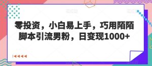 零投资,小白易上手,巧用陌陌脚本引流男粉,日变现1000+-云创网
