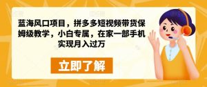 蓝海风口项目,拼多多短视频带货保姆级教学,小白专属,在家一部手机实现月入过万-云创网