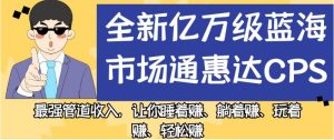 全新亿万级蓝海市场通惠达cps，最强管道收入，让你睡着赚、躺着赚、玩着赚、轻松赚【揭秘】-云创网