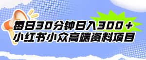 每日30分钟日入300+小红书小众高端资料项目-云创网