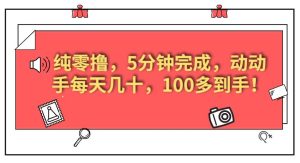 纯零撸,5分钟完成,动动手每天几十,100多到手!-云创网