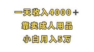 一天收入4000+,靠卖成人用品,小白轻松月入5万【揭秘】-云创网