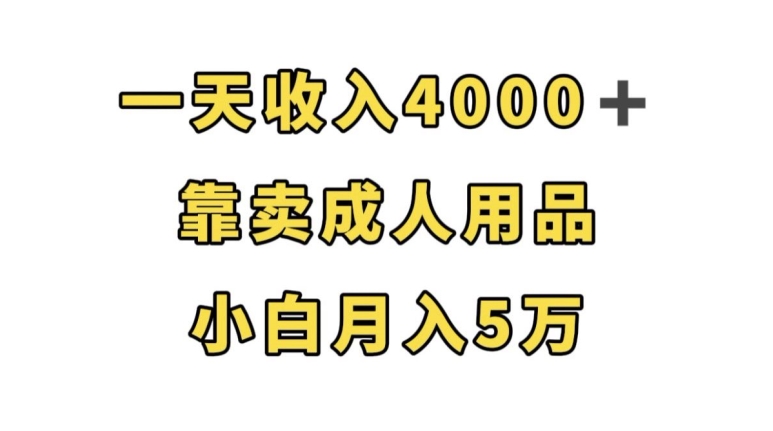 一天收入4000+，靠卖成人用品，小白轻松月入5万【揭秘】-云创网