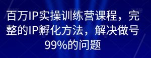 百万IP实操训练营课程,完整的IP孵化方法,解决做号99%的问题-云创网