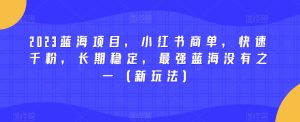 2023蓝海项目,小红书商单,快速千粉,长期稳定,最强蓝海没有之一(新玩法)-云创网