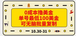 0成本撸美金,单号最低100美金,可无脑批量复制-云创网