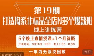 打造淘系非标全店N多个爆款线上课,5天直播课-云创网