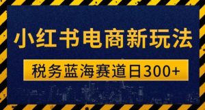 税务师小红书电商新玩法,知识撸金稳定300+-云创网