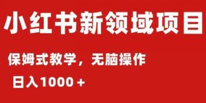 小红书AI掘金：保姆式教程，日入1000＋，小白可轻松上手-云创网