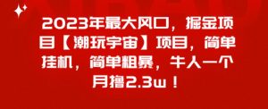 2023年最大风口,掘金项目【潮玩宇宙】,简单挂机,简单粗暴,牛人一个月撸2.3w!-云创网