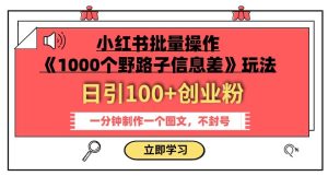 小红书批量操作《1000个野路子信息差》玩法,一分钟制作一个图文,不封号,日引100+创业粉-云创网