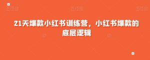 21天爆款小红书训练营,小红书爆款的底层逻辑-云创网