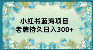 小红书老牌项目,新手小白值得操作,日入300+-云创网